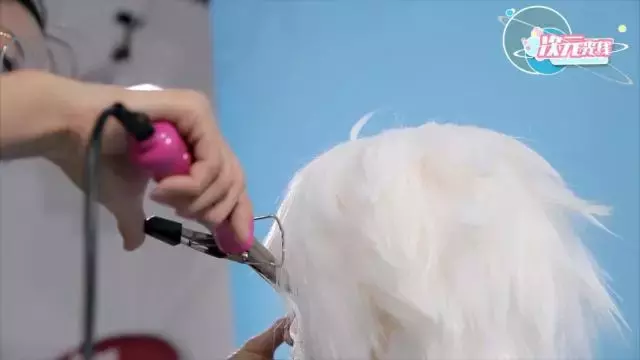 zjnWhAoTWjWA9fmJ.jpg