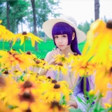 cos正片——俺妹黑猫白裙
