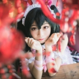 cos正片——妮可情人节女仆