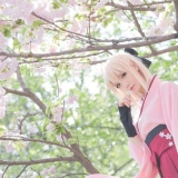 cos正片——桜SABER-冲田总司