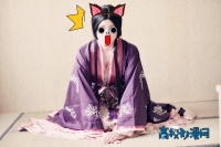 【COS正片】===画皮2.小唯===