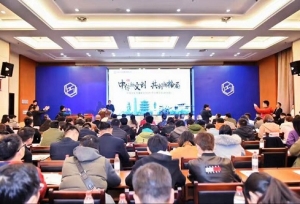 中传新文创（IP）平台武汉推介会首站告捷