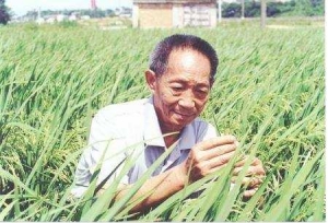 中国顶级大学“两院院士”校友数量排名，C9
