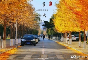这所985大学快哭了，不曾想会入选双一流B类