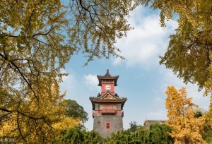 2020考研择校：我国西南地区最好大学100强