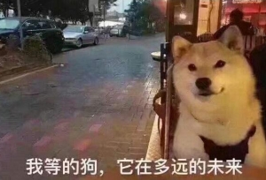 如果一个“单身狗”正在考研，他/她会有什