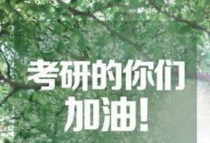 2020年北京外国语大学国际传播考研参考书目