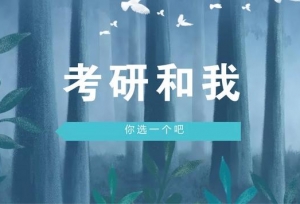 考研和我，你选一个吧