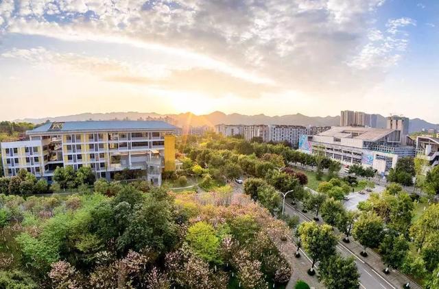 重庆大学保研率19.5%，附：保研高校详细名单