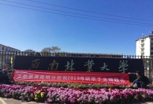 研究生复试考什么？怎样准备才能提高心理学