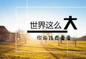 考研结束了，接下来，我应该做什么？