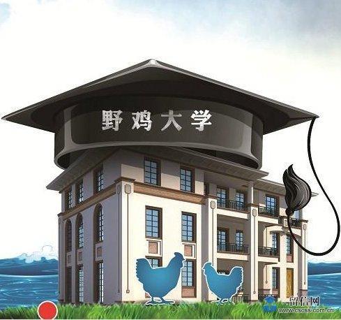 什么是野鸡大学？国家承认野鸡大学的学历吗？
