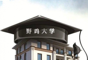什么是野鸡大学？国家承认野鸡大学的学历吗？