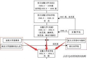 名气不大，却是行业领袖，茶叶行业人才龙头