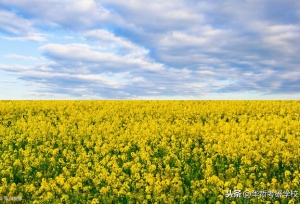 经典长难句｜考研英语