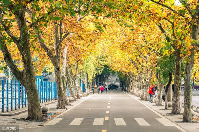 中国石油大学为新成立6个新学院（研究院）揭牌