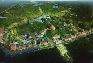 中山大学书记校长来深圳，反复提到这四个字