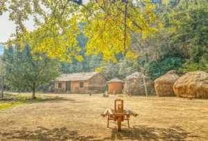 考研难度小的3所211大学，理想在名校实现，眼高手低的人适合报考