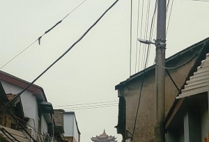 考研人数最多的4个专业，考生“泛滥”，读