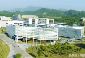 南方科技大学2018年全国录取情况