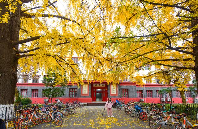 中西部最美的大学校园，去成都不该被忽视的免费景点，你去过吗？