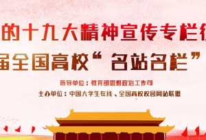 武汉一高校官网荣获“全国高校优秀网站”优