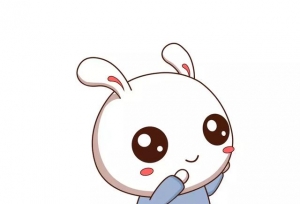 你这么笨还想考研？浪费那时间干啥？