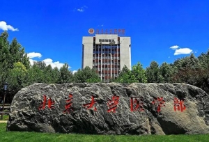 作为国内顶尖医学院之一的北京大学医学部将