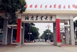 2018年湖南一本大学排名