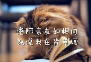 寒假——2周搞定2019考研英语单词 全靠这张表！