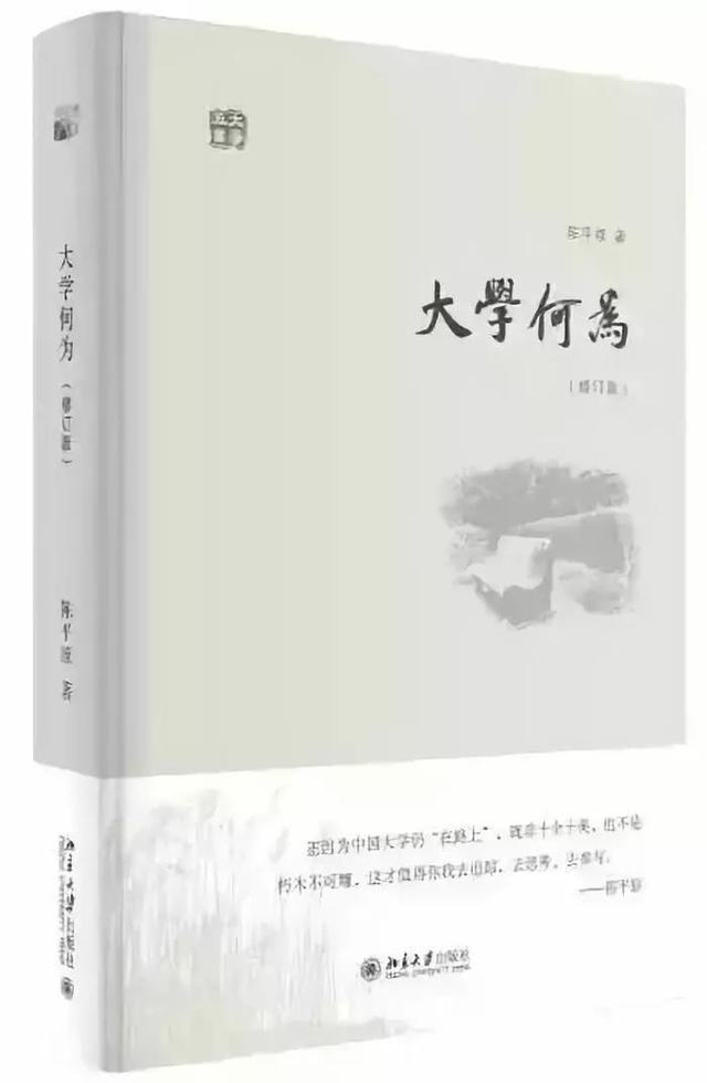 北大陈平原：国外大学都很安静，中国大学都一派热火朝天！