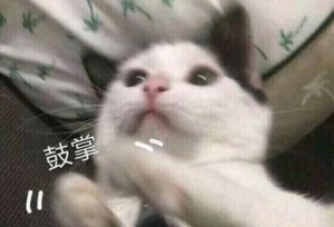 史上最牛考研神校，从大一开始准备考研！