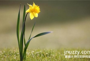 2017年暨南大学在职研究生考试科目有哪些？