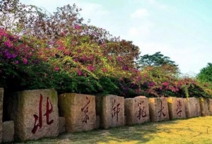 北京高校中容易混淆的几所高校，填报志愿时