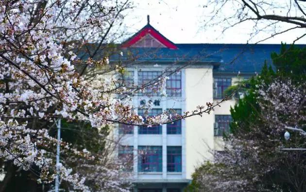 今年春天最值得去的15所高校