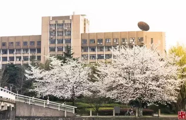 今年春天最值得去的15所高校