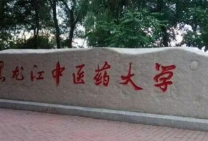 老梁推荐：这些高校虽不是985、211，实力和
