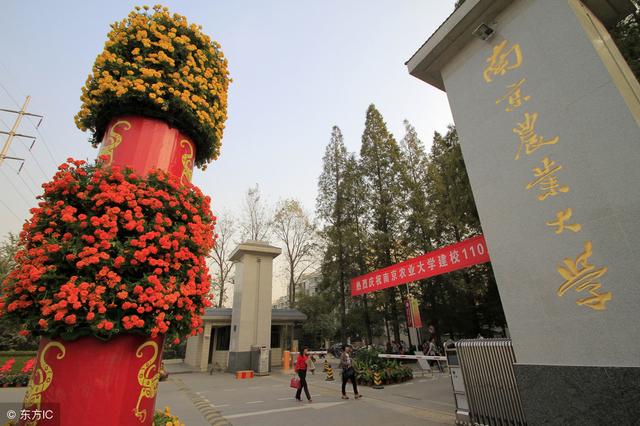 南京排名最好的8所大学，第2所985高校很低调，有很多人都不知道