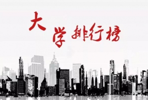 中国211大学排名