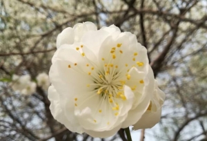 2019考研：在职研究生考试科目及时间安排！