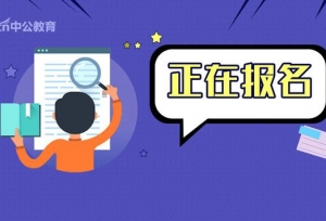 2019年上海市高校毕业生“三支一扶”计划招
