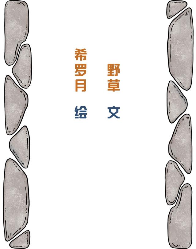 动画专业的大坑到底有多深