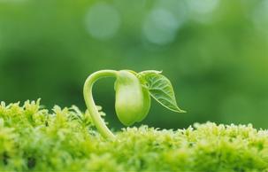 满足什么条件才能申请新闻学硕士学位?