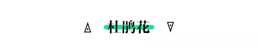 高校赏花，你不会只知“武大樱花”吧！