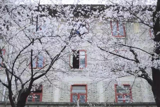 这些中国最美高校宿舍，你心动了吗~