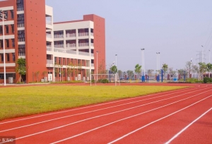 2018年中国大学排名出炉！广东这些高校突出