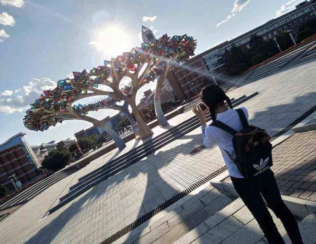 越来越多的师范大学开始招收公费生，从直属高校推广到各省属高校
