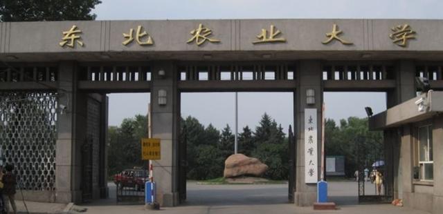 因地理位置被忽略的3所211大学，录取分数低，考上就是赚到！