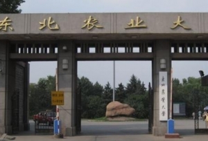 因地理位置被忽略的3所211大学，录取分数低