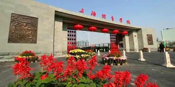 这些非211院校，专业很强，A+类高校，实力不输985！